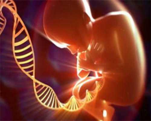 广州金贝供卵试管多少钱,广州金贝供卵试管费用是多少